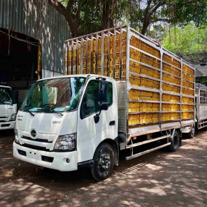 Xe tải Hino 5 tấn chuyên chở gia cầm 256 lồng  – Sự lựa chọn tuyệt vời cho doanh nghiệp của bạn